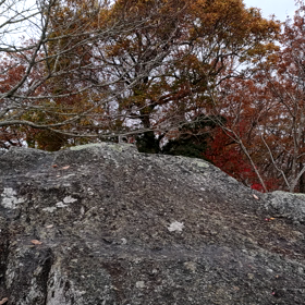 明神山　670m 山頂ガスってるの画像
