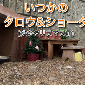 タロウが来ない、この子は誰？の巻の画像