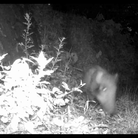 すぎぴたんの事件簿　第１話の画像