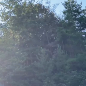 2020年8月25日（火曜日）今朝のおわらサーキットの画像