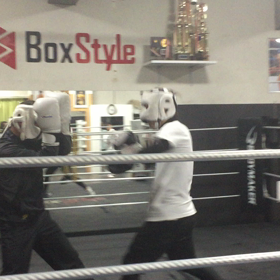 マスボクシングの画像