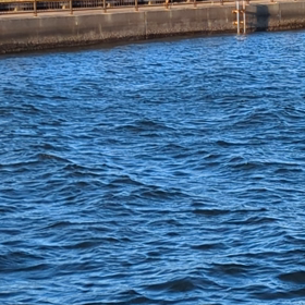 寒かったよ〜の画像