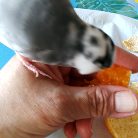 体調とマスク生活の後遺症の画像