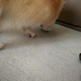 今日の1枚。の画像