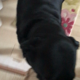 もうわからなくなってますの画像