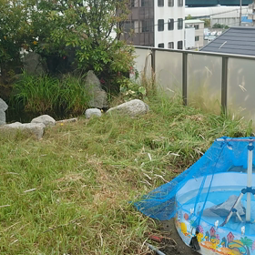 お引越しの画像