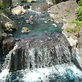 浅草の動画の画像