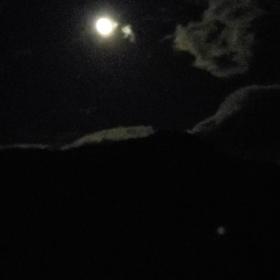 虫の合唱の画像