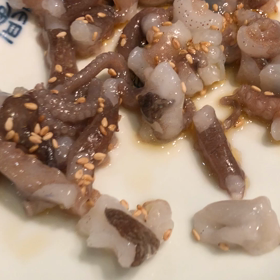 生きてるタコが吸い付くの画像