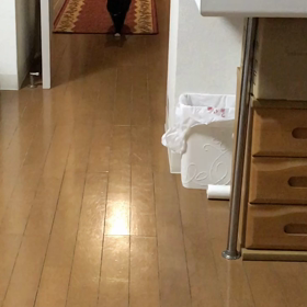 ランウェイの画像