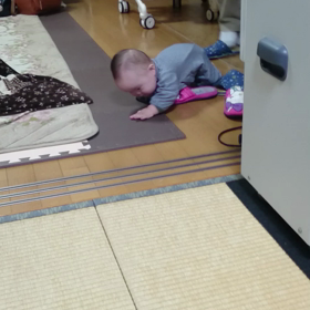 カナたん おいで ハ～イの画像