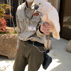 お散歩動画配信の記録６の画像