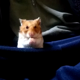 おやつ！の画像