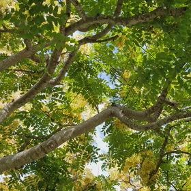 ☆父の日は……☆の画像