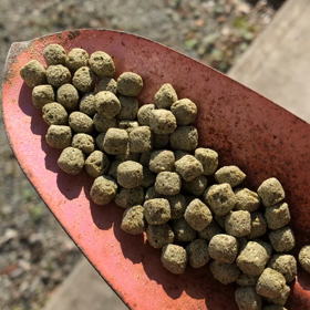 vol.93 リバウンドしにくいボディメイク☆47日目⑴☆の画像