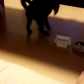 よし子になる(´∀｀*)の画像