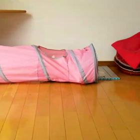 トンネル3の画像