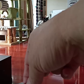 ワンコみたいなニャンコ(=^・^=)の画像