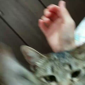 目覚めたら…♪の画像