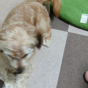 激しい「バン！」の画像