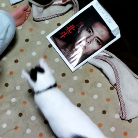 昨日、投稿できなかった。の画像