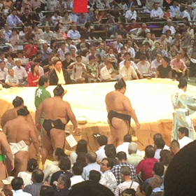 ニャンニャン日記、横綱土俵入り(^O^)／⚡️✨‼️の画像