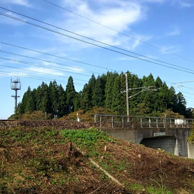 リベンジ！の画像