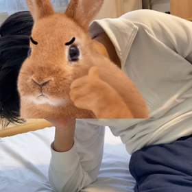 起き上がり練習の画像