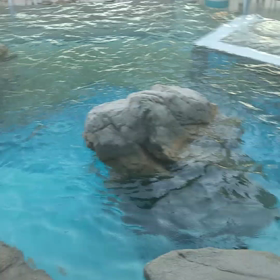 練習 テストの画像