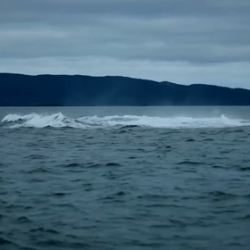 天使　RRR_GreatMindsByDesign/59511の画像