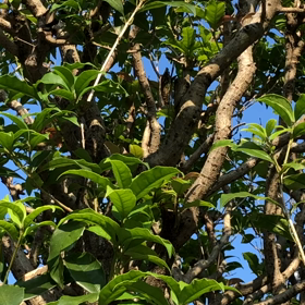 今日は、、、の画像