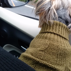 目の検査で他の病院への画像