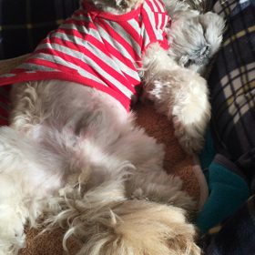 今現在のラルフさんの画像