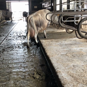 マイペースの画像