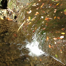 水の音の画像