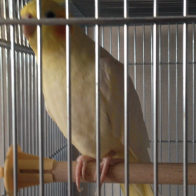 ムービングちー様♡の画像