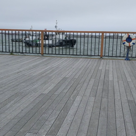 船♪船♪船？の画像