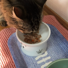 うに、入院になりました(T-T)の画像