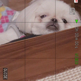 今日から下半期の画像