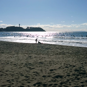 12月29日(土)の鵠沼海岸の動画ですの画像