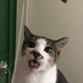 誕生日プレゼントの画像