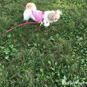 初動画(^O^)／の画像