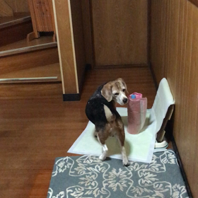 ホンマに…の画像