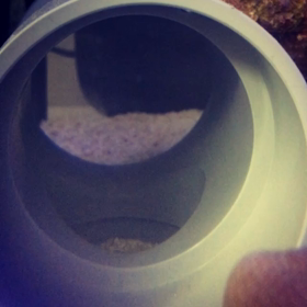 ソメワケ  in and outの画像