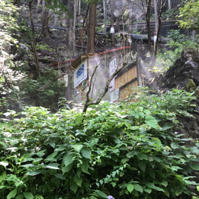 本日鍾乳洞入り口もやもやしています。の画像