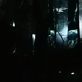 カムイルミナの画像