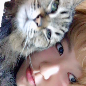 またまた、おやすみの画像