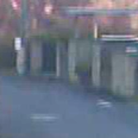 怪しい動き。捨てたか！？Σ('◉⌓◉’)の画像