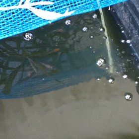 おはようございます☀の画像