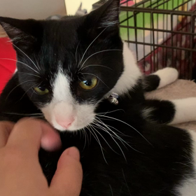 朝のあいさつの画像